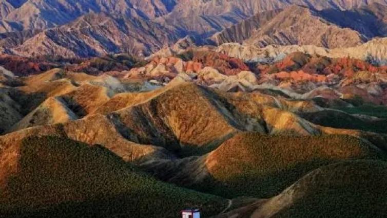 【老照片】16张照片定格高原盛开的格桑花——青海省地矿局