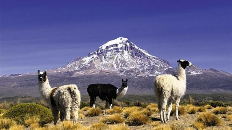 “一带一路”上“坐在金矿上的驴”——玻利维亚