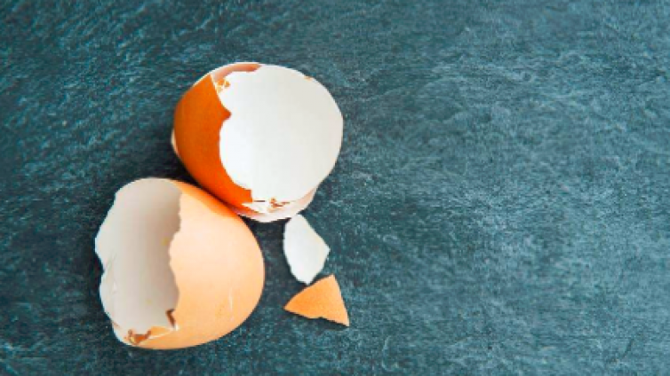 丢弃蛋壳竟能变成廉价储能材料！